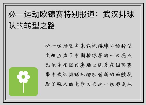 必一运动欧锦赛特别报道：武汉排球队的转型之路